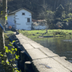camino