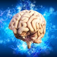 AI, Diepe hersenstimulatie, OCS, rTMS, stemmingsstoornissen, hersenatlas, psychische stoornis, , kleine hersenen, hersenbank, brein, hersennetwerk, hersenen trainen,brein,breinstimulatietechniek , brein, serotoninespiegels, cognitieve wetenschappen, brein, stress, immuuncellen, antibiotica, ADHD, diepe hersenstimulatie, hersenstimulatie, darmen hersenen, brein, erik scherder
