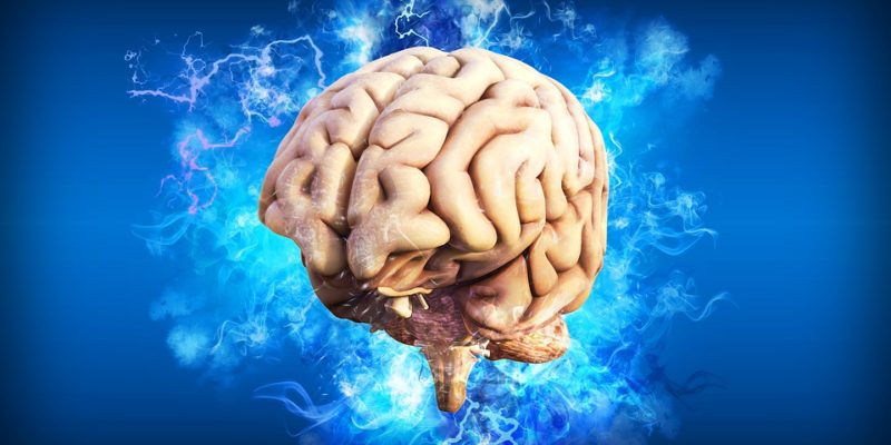 AI, Diepe hersenstimulatie, OCS, rTMS, stemmingsstoornissen, hersenatlas, psychische stoornis, , kleine hersenen, hersenbank, brein, hersennetwerk, hersenen trainen,brein,breinstimulatietechniek , brein, serotoninespiegels, cognitieve wetenschappen, brein, stress, immuuncellen, antibiotica, ADHD, diepe hersenstimulatie, hersenstimulatie, darmen hersenen, brein, erik scherder