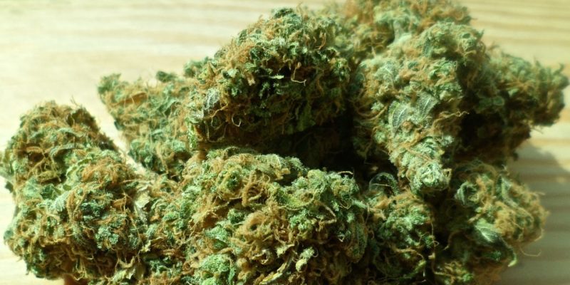 cannabis, cannbis en ecstasy, verslaving, drugsgebruik, cannnabis als medicijn, jij's, cannabisgebruik , Nationale Drug Monitor, schizofrenie, cannabisgebruik, blowgedrag, middelengebruik,