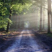 vergroening , groene omgeving, groene psychiatrie, buiten werken, buitenlucht, groen, de groene ggz, groene ggz, natuur, persoonlijkheidsstoornissen, mentale gezondheid , natuur