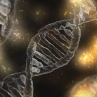 22q11-deletiesyndroom, DNA-test, schizofrenie, DNA, bijwerkingen