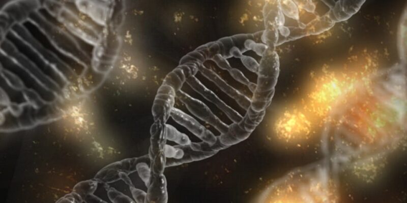22q11-deletiesyndroom, DNA-test, schizofrenie, DNA, bijwerkingen