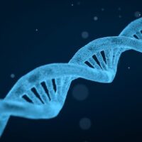 schizofrenie en lengte, genetische overeenkomsten, antisociaal gedrag, genetische testen