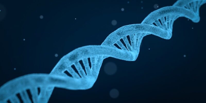 depressie, schizofrenie en lengte, genetische overeenkomsten, antisociaal gedrag, genetische testen