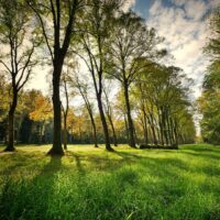 GGZ Rivierduinen