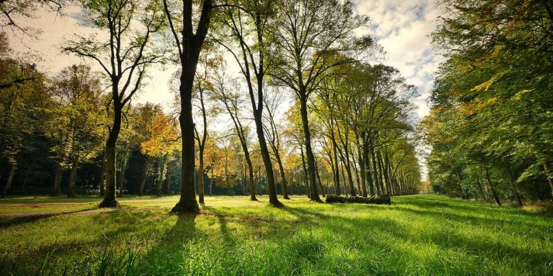 GGZ Rivierduinen