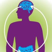 probiotica, stress, darmen, psychologische stress, stress, darmontstekingen, darmen, darmbacteriën, geestelijke gezondheidsproblemen,