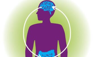 probiotica, stress, darmen, psychologische stress, stress, darmontstekingen, darmen, darmbacteriën, geestelijke gezondheidsproblemen,