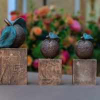 mentale kracht, Appeltjes van Oranje