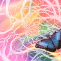 hoogsensitviteit en drugsgebruik, hooggevoeligheid, hoogsensitiviteit, hallucinaties