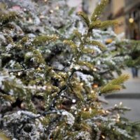 eenzaamheid, mentaal gezond , feestdagen