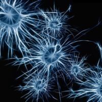 serotonine, neurologische aandoeningen, autisme