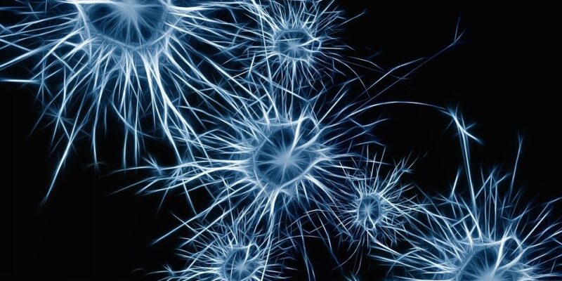 serotonine, neurologische aandoeningen, autisme