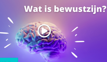 bewustzijn