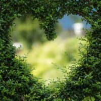ART, groen, natuur, jongeren