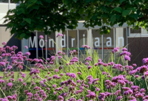 ggz rivierduinen, duurzame zorg, vergroening , vergroeningsslag , groen, mondriaan, groene ggz