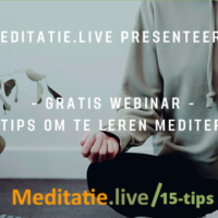 MEDITEREN, MEDIATIE