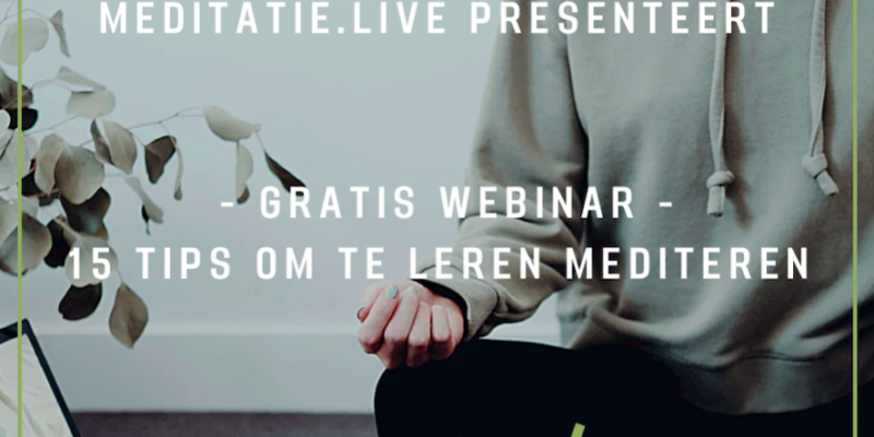 MEDITEREN, MEDIATIE