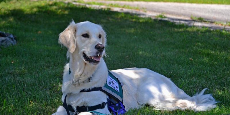 hulphond. hulphonden, ptss