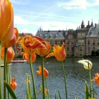 IZA, Kamer, commissiedebat arbeidsmarktbeleid