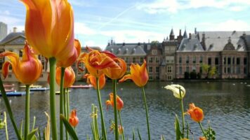 IZA, Kamer, commissiedebat arbeidsmarktbeleid