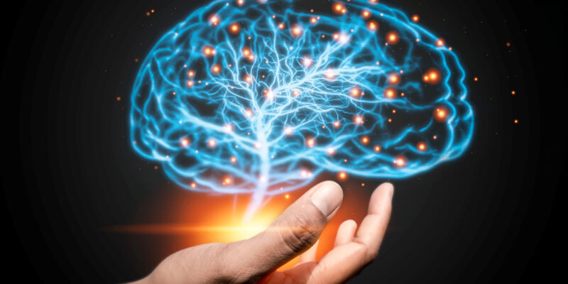 Deb Dana, polyvagaaltheorie, online workshop