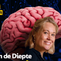BAAN DOOR HET BREIN