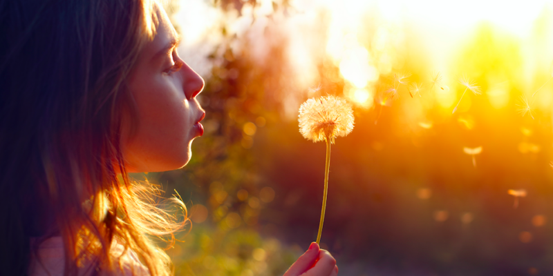 PSYCHOTRAUMA, CONGRES