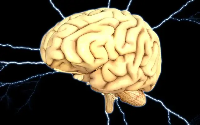 breinstimulatie, brein, hersenen, AI-taalmodel