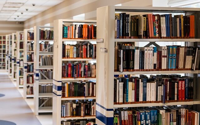 bibliotheek, bieb