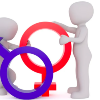 sekse en gender, onderzoek , man en vrouw