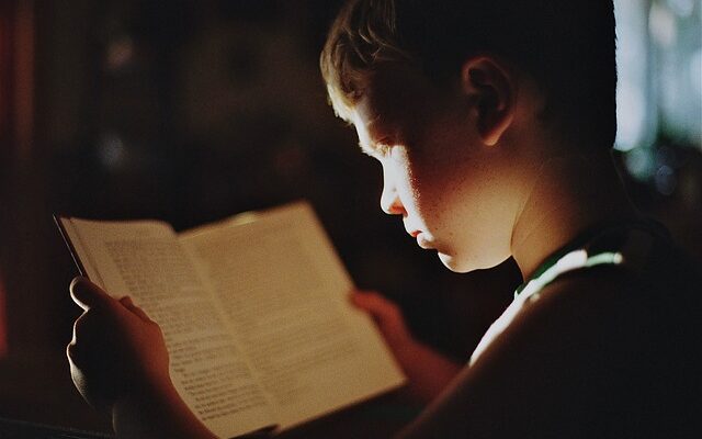 lezen, boek, dylexie