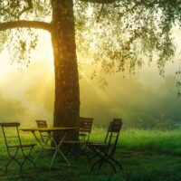 optimisme, onzekerheid, angst