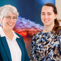 Young in Leiden, younginleiden.nl