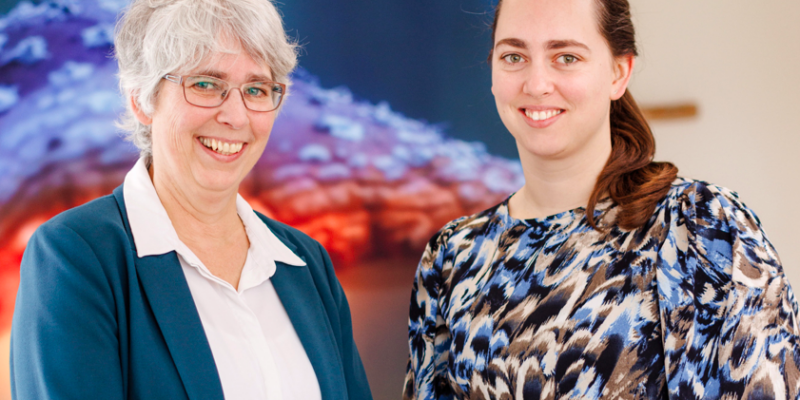 Young in Leiden, younginleiden.nl