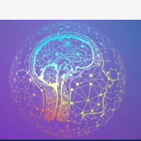 congres hoogsensitiviteit