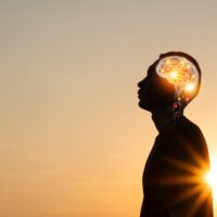 deb dana, polyvagaaltheorie, webinar