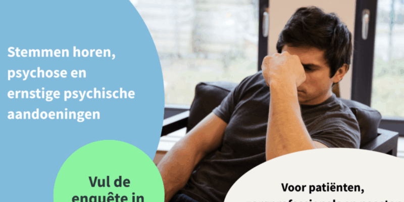stemmen horen, enquête