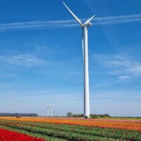 GGZ Centraal, Flevoland