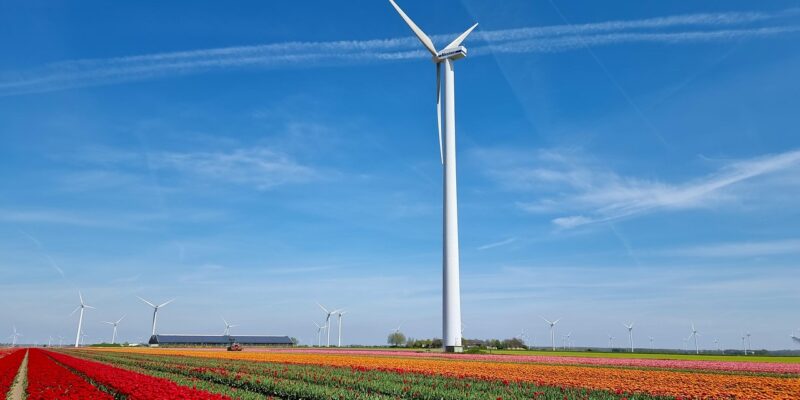 GGZ Centraal, Flevoland