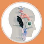 Festival van de Leefstijl