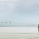 traumabehandeling , traumatherapie , lichaamsgericht traumatherapie