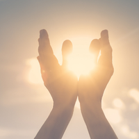 congres, Lichaamsgericht werken, trauma