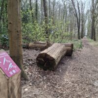 Kie-fit route, Kie-Fit