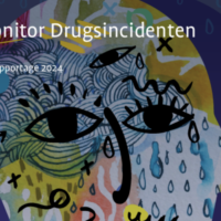 drugsmonitor, Monitor Drugsincidenten