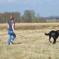 paws, hond, kinderen met autisme