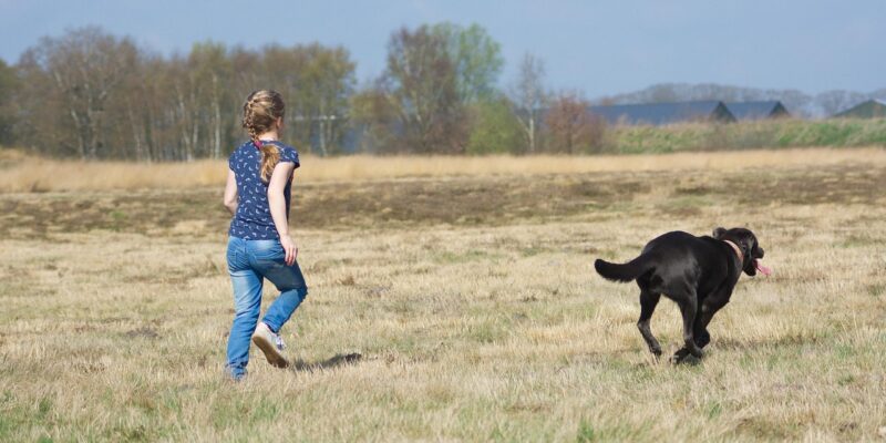paws, hond, kinderen met autisme