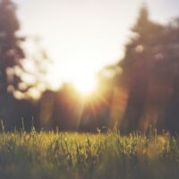 traumaklachten, zomer