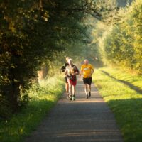 natuur, bos, omgeving